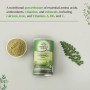 Organic Moringa Powder 100 gm