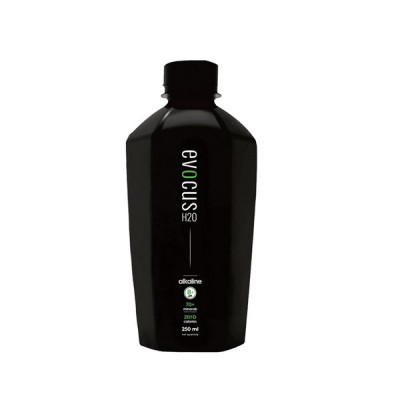 Evocus Alkaline Water 250 ml 